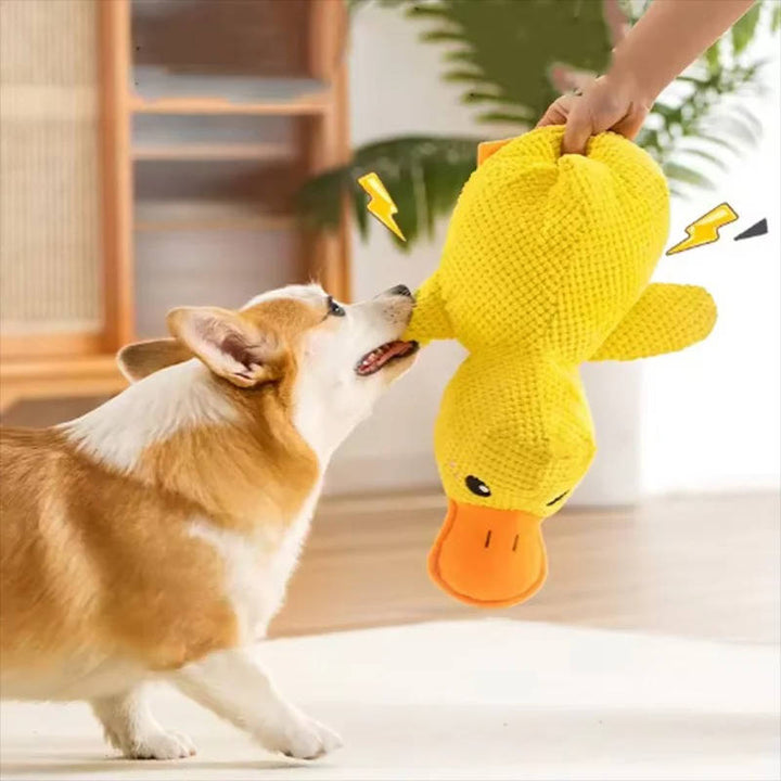 Duck Toy for Anxious Dogs