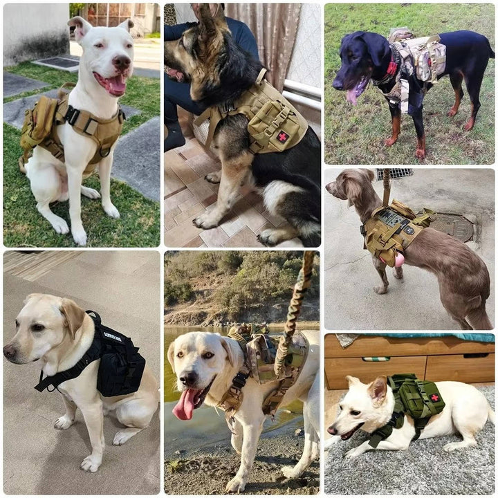 Tactical Military Dog Vest Harness Set with Collar and Leash, Adjustable Training and Hunting Vest for Medium and Large Breeds