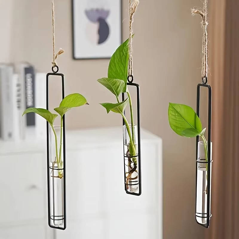 Wall Hanging Propagation Station, Glass Test Tube Planter with Metal Frame and Rope for Indoor Plant Cuttings