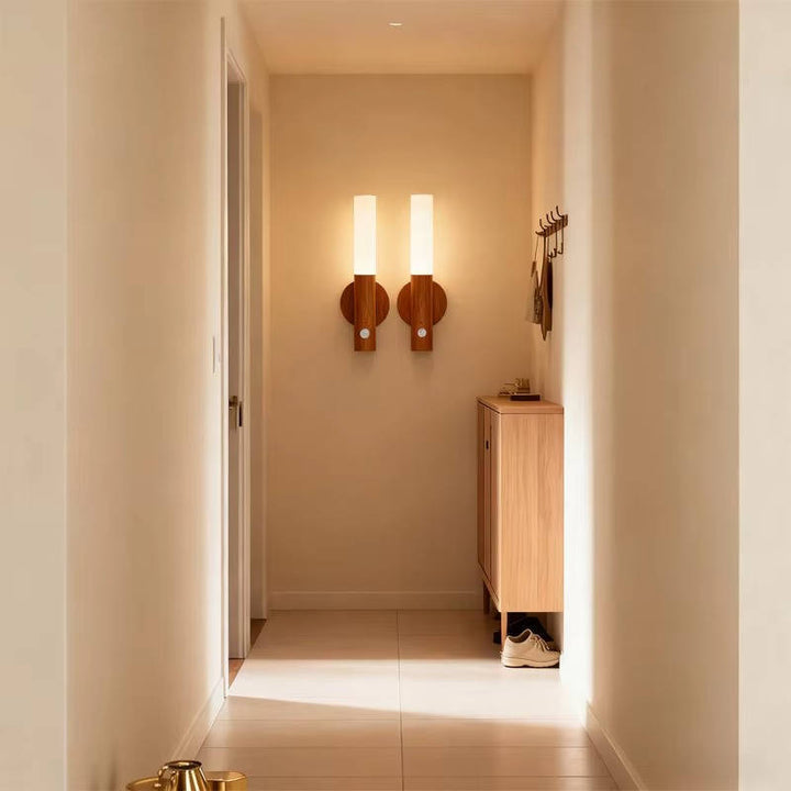 LED Night Lamp for Wardrobe Closet and Bedside Cabinet