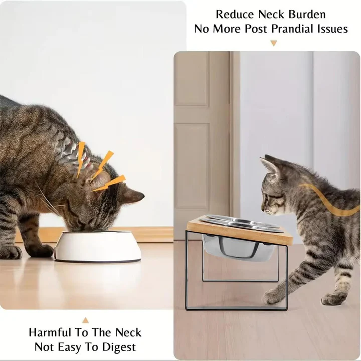 Raised Cat Bowl for Comfortable Feeding