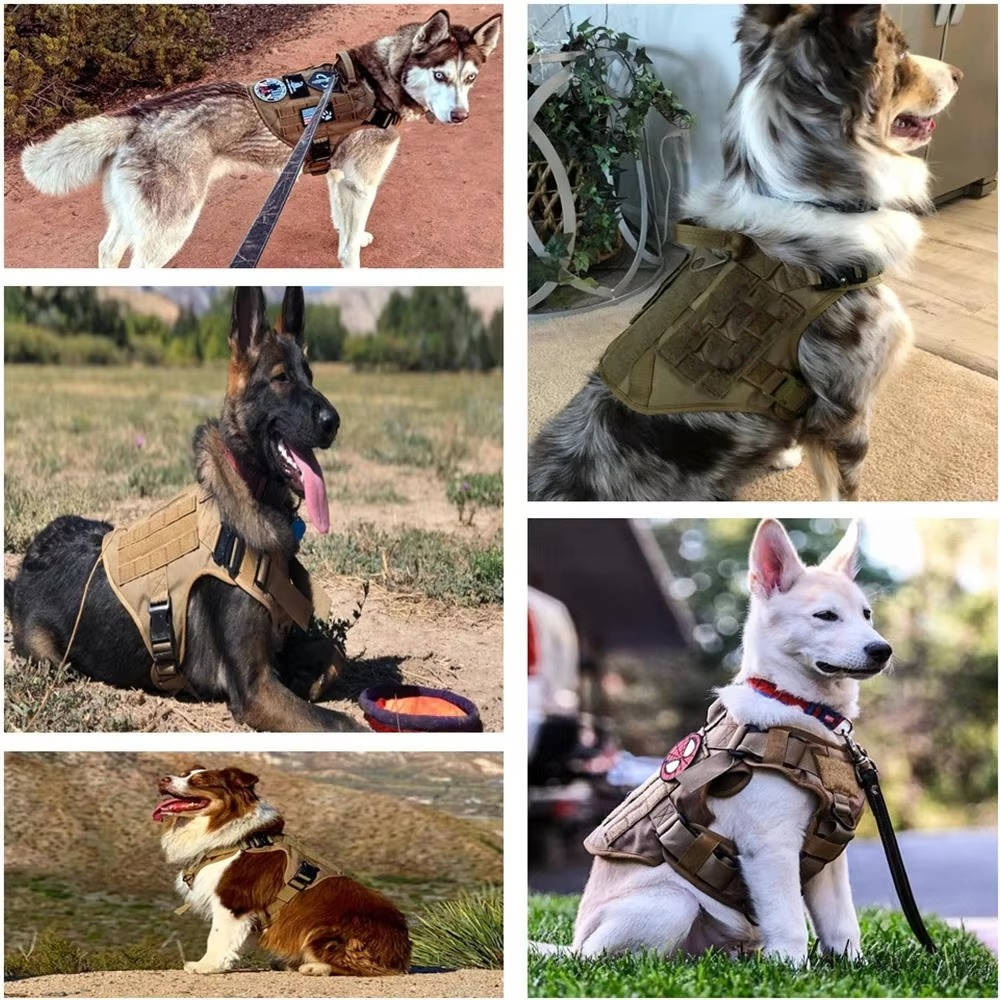 Tactical Military Dog Vest Harness Set with Collar and Leash, Adjustable Training and Hunting Vest for Medium and Large Breeds