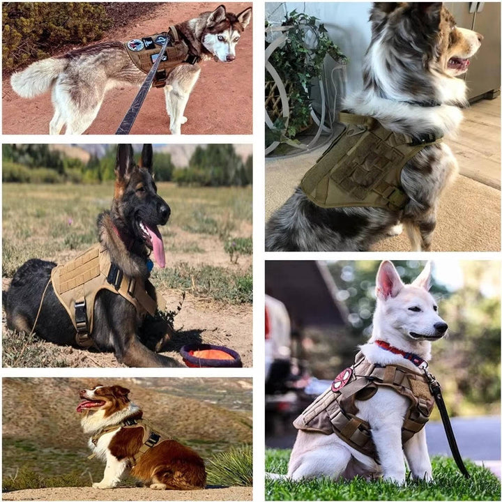 Tactical Military Dog Vest Harness Set with Collar and Leash, Adjustable Training and Hunting Vest for Medium and Large Breeds