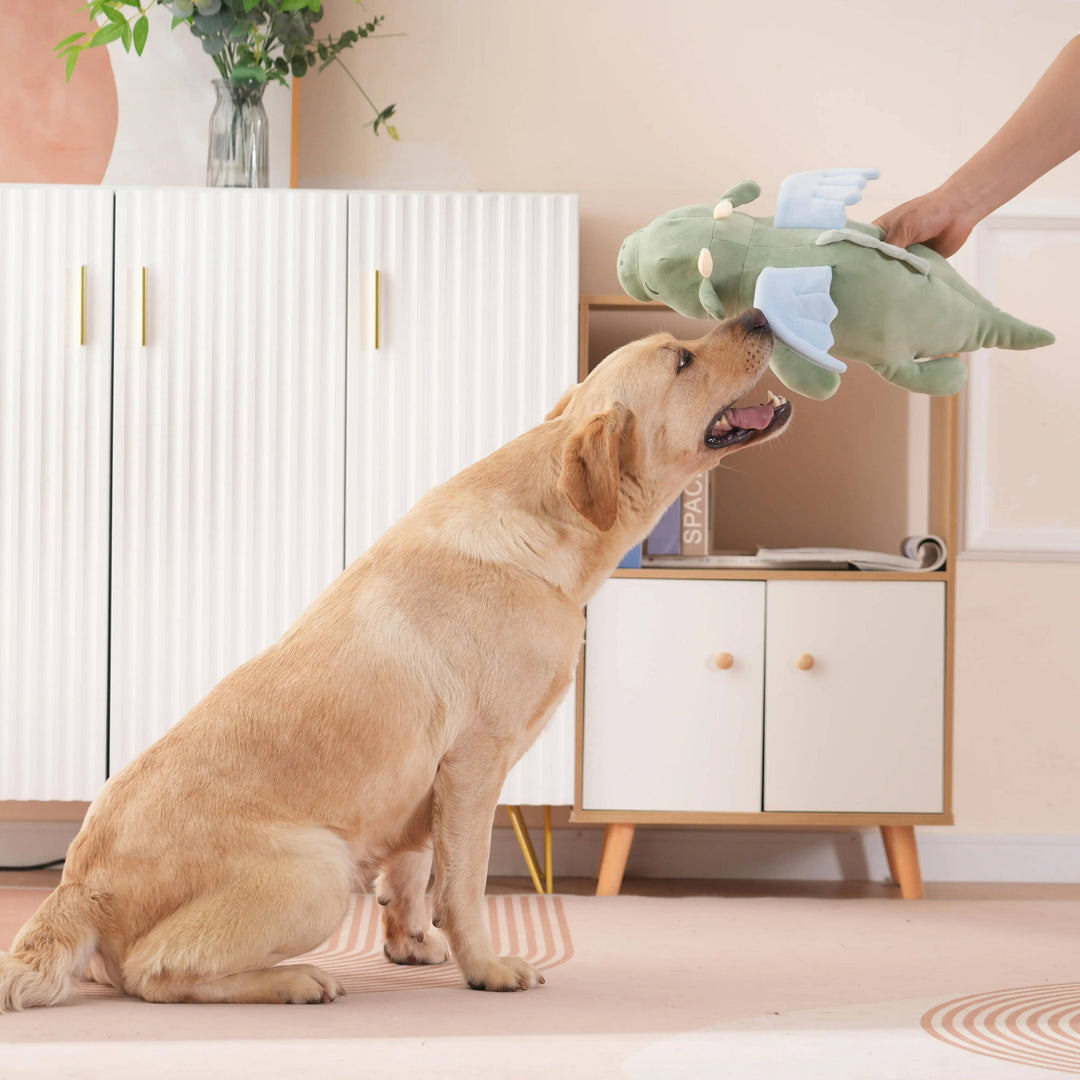Separation Anxiety Toy for Dogs