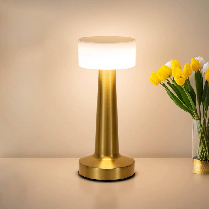 Cordless Table Lamp Rechargeable LED, Metal Accent Lamp for Dining Table Living Room Ambient Lighting