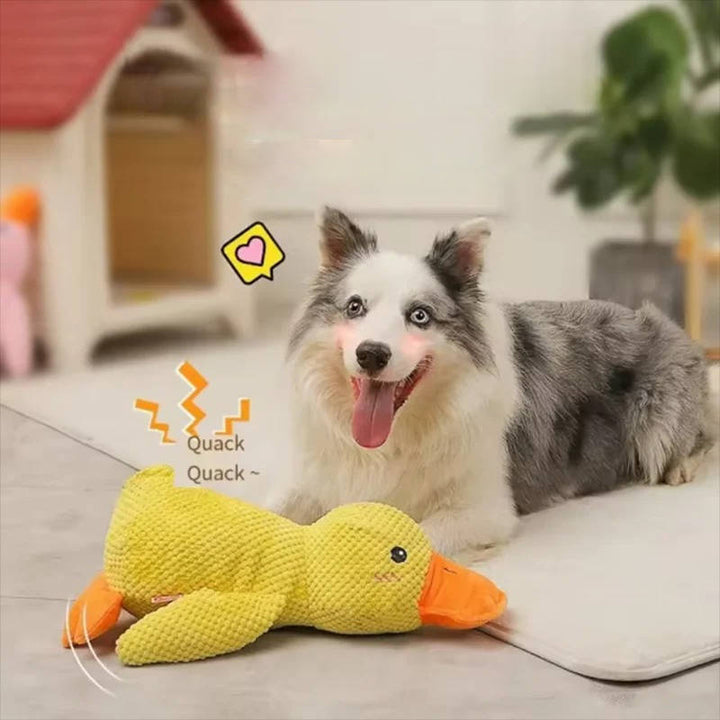 Duck Toy for Anxious Dogs