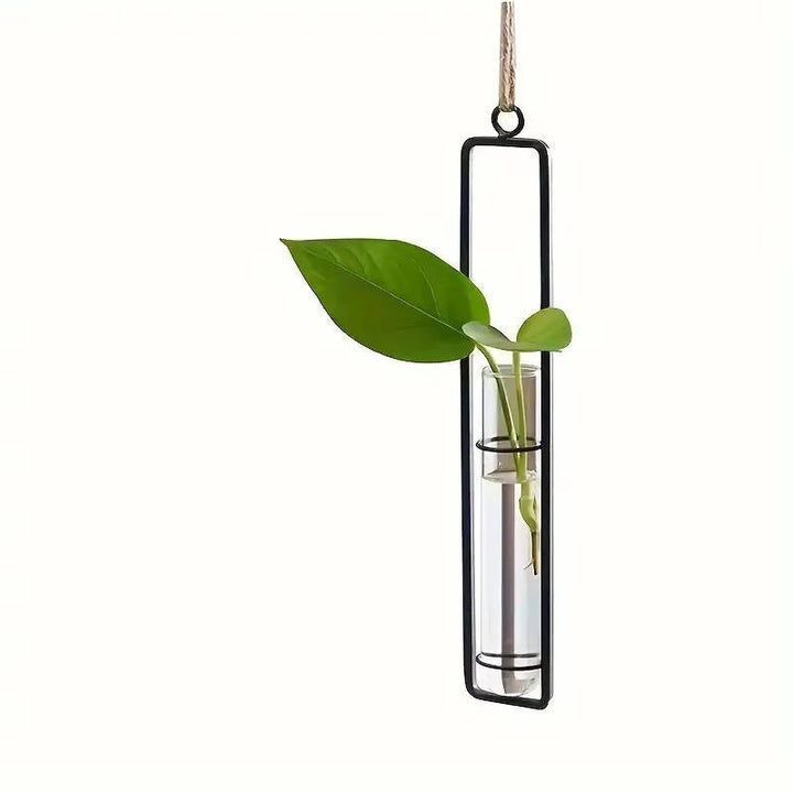 Wall Hanging Propagation Station, Glass Test Tube Planter with Metal Frame and Rope for Indoor Plant Cuttings