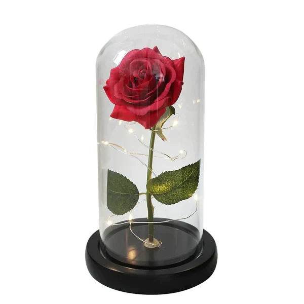 Preserved Rose with LED Dome Display and Battery Power