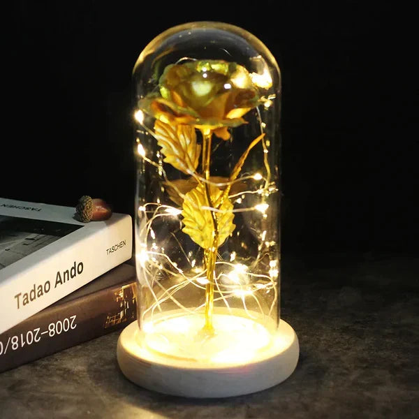 Preserved Rose with LED Dome Display and Battery Power