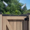 Plastic Bird Repeller Control Spikes