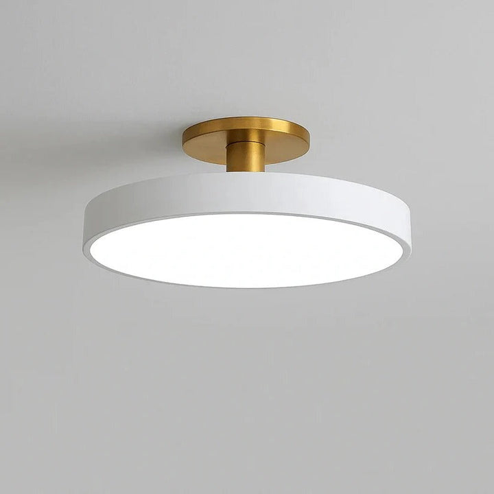 Modern LED Ceiling Light with Flush Mount Design for Interior Spaces