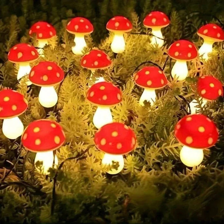 LED Solar Lights Outdoor Decorative