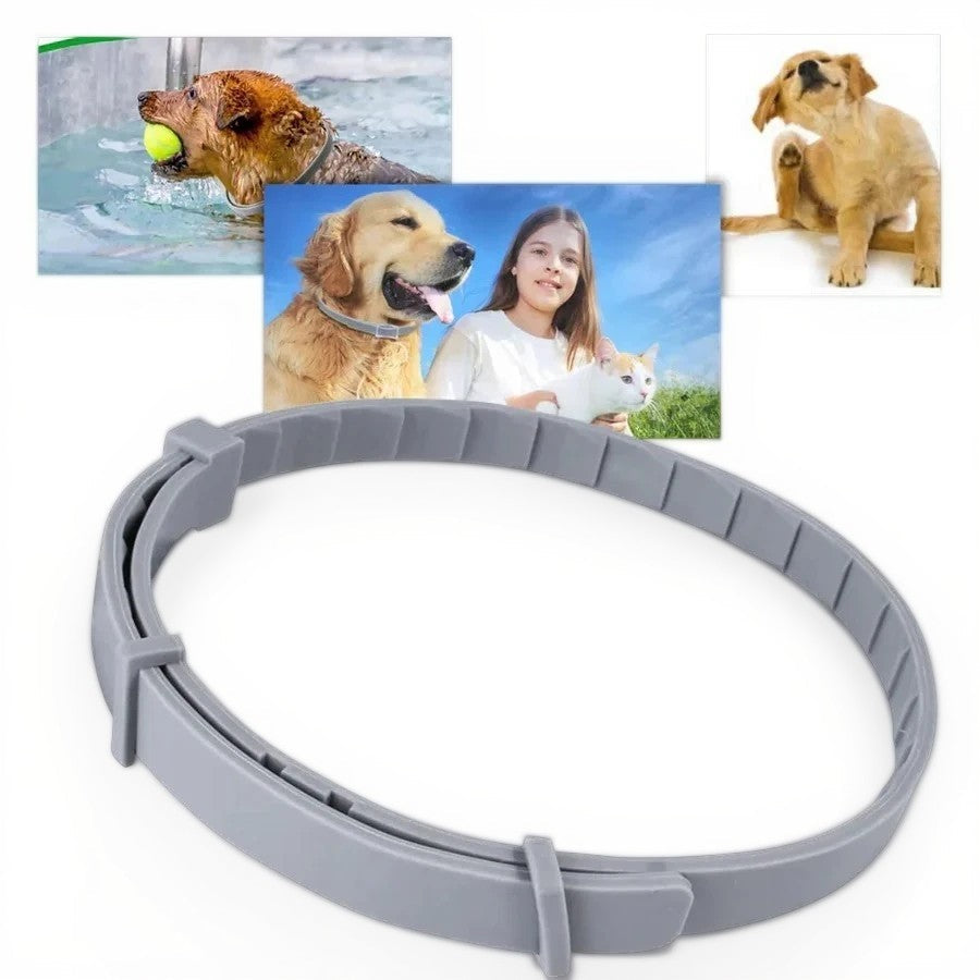 Adjustable Pet Flea and Tick Repellent Collar – For Dogs and Cats, Water-Resistant