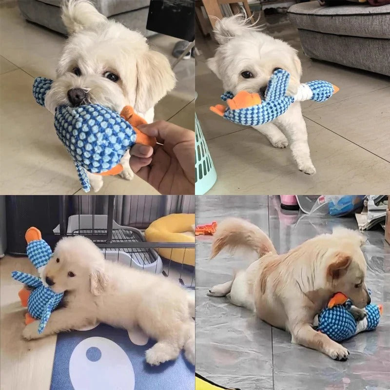 Duck Plush Chew Toy for Dogs with Squeaker