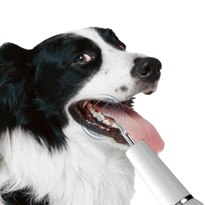 Pet Oral Cleaning Tool for Fresh Breath and Grooming Care