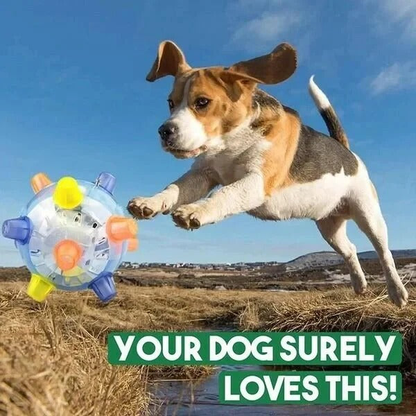Motion Activated New Jumping Activation Dog Toy Ball
