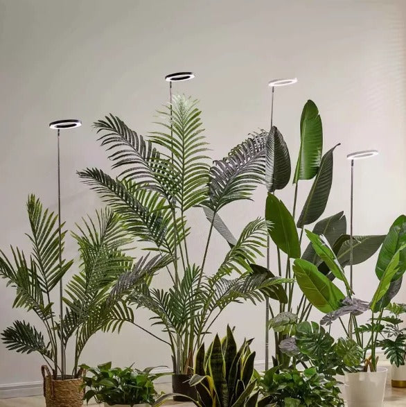 LED Grow Light for Indoor Plants with Automatic Timer