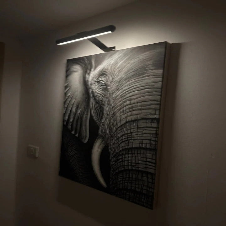 LED Art Display Light, Cordless Lamp for Paintings and Decor