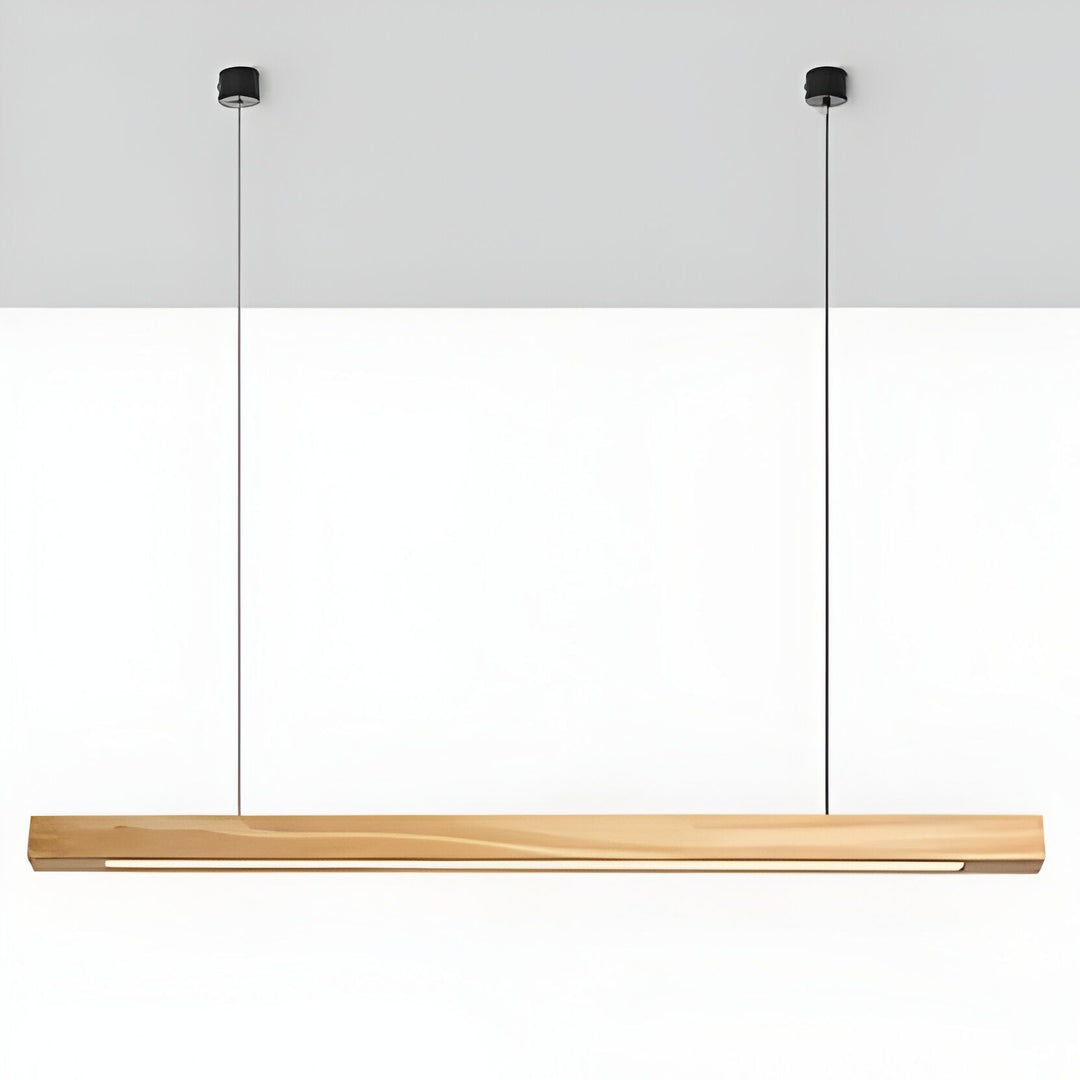 Ceiling Pendant Light with Integrated LED