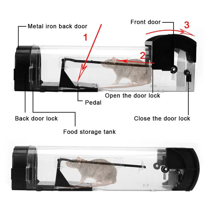 Reusable Rodent Trap with Locking Mechanism