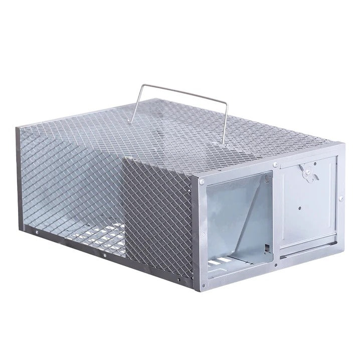 Metal Mouse Trap Cage with Single Door and Reusable Design