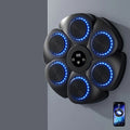 Boxing Machine Wall Target with Music and USB Rechargeable