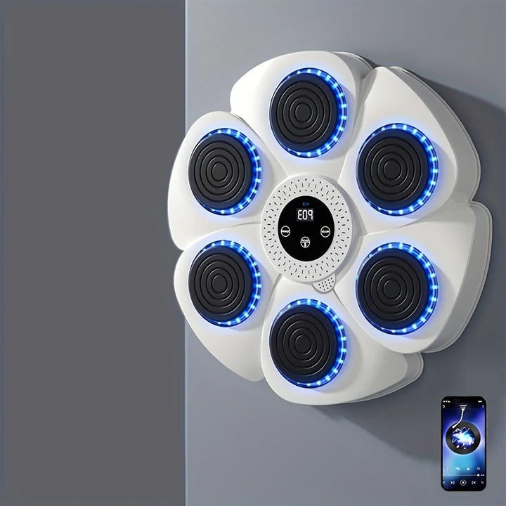 Boxing Machine Wall Target with Music and USB Rechargeable