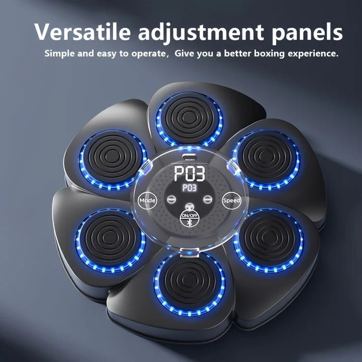 Boxing Machine Wall Target with Music and USB Rechargeable