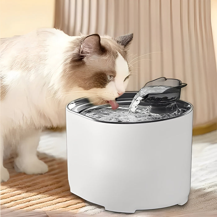 Cat Drinking Fountain and Water Dispenser