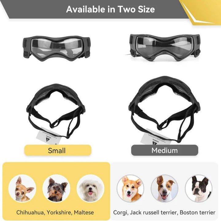Dog Goggles for Pet Eye Protection