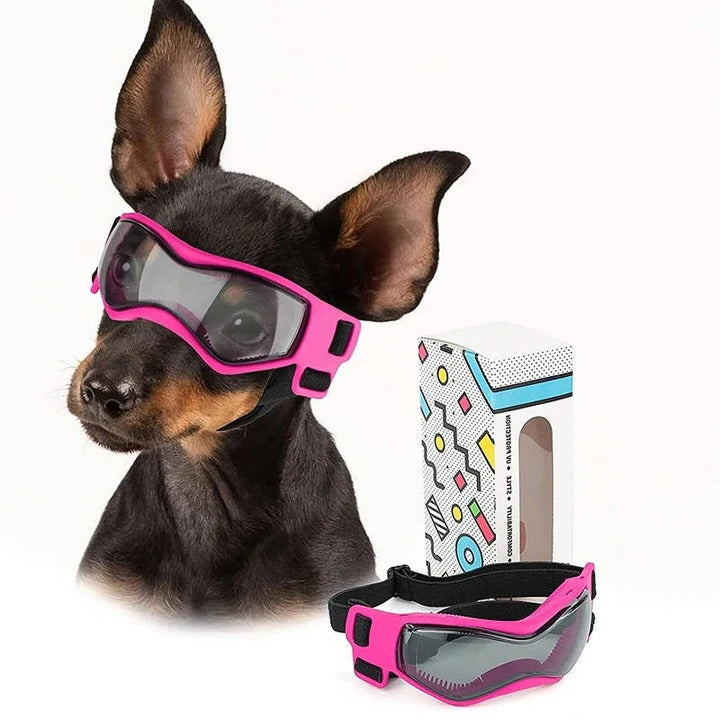 Dog Goggles for Pet Eye Protection