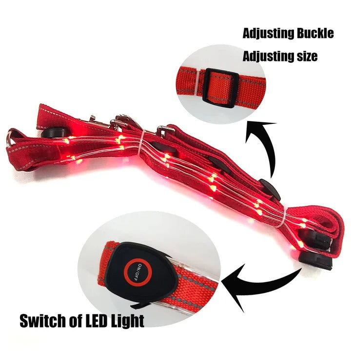 Horse Breast Collar with LED Lights for Night Riding