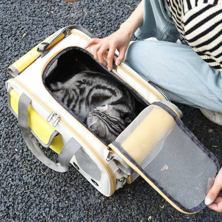 Travel Pet Carrier for Small Dogs and Cats