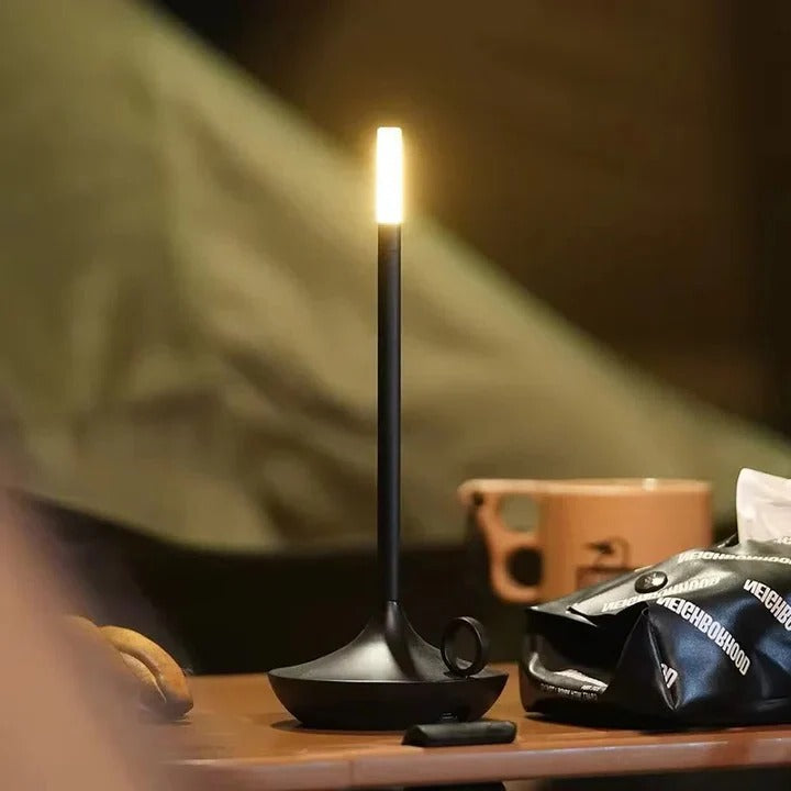 Rechargeable LED Desk Lamp Touch Control for Reading and Study