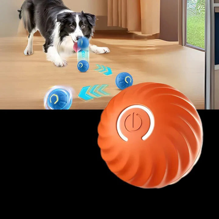 Interactive Dog Ball Toy for Chasing and Avoidance Play