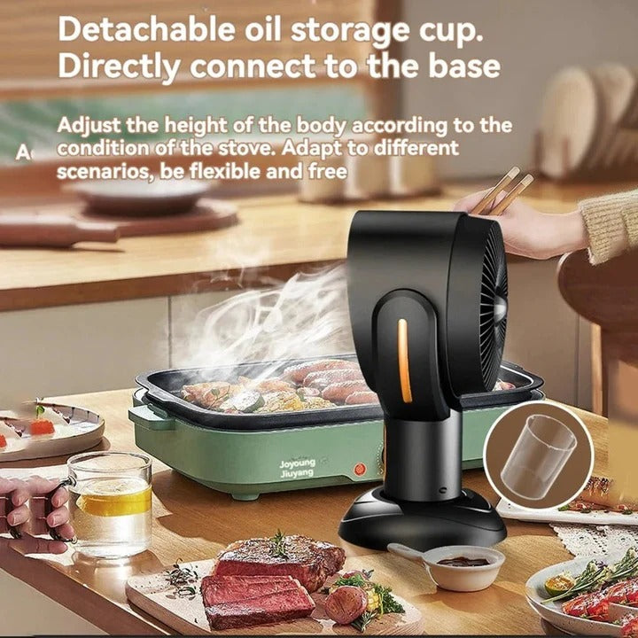 Air Purifier Fan for Smoke Allergies and Odor Removal