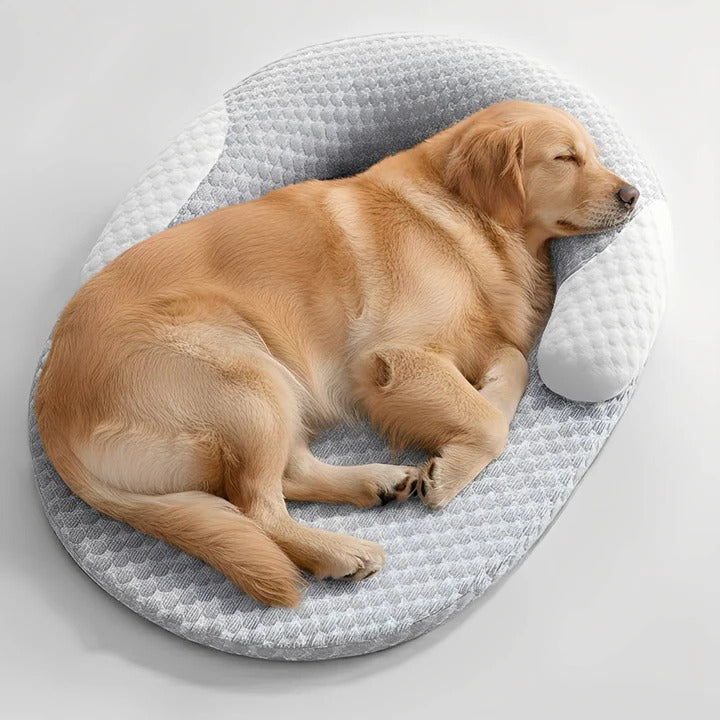 Washable Orthopaedic Cooling Dog Bed with Memory Foam and Support
