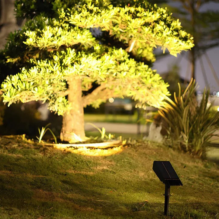 Solar Multi-zoom Spot Light with Waterproof LED and RGB colours