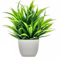 Artificial Plants for Interior Decoration