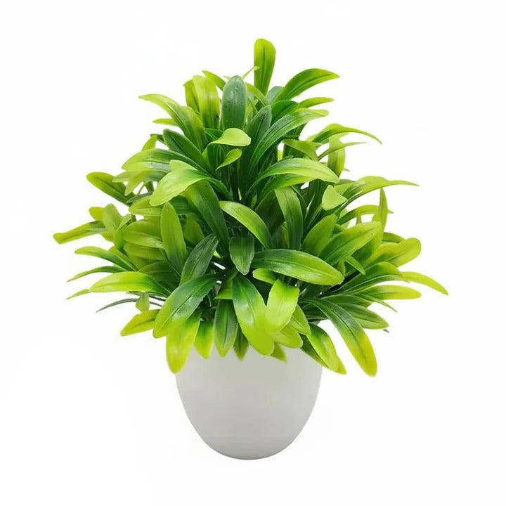 Artificial Plants for Interior Decoration