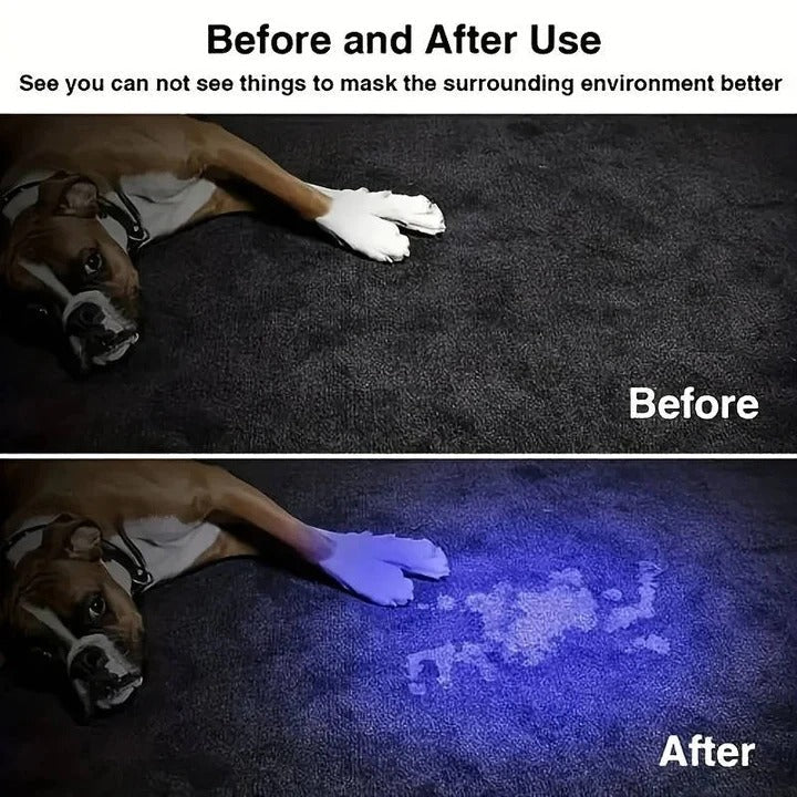 Handheld Rechargeable Ultraviolet Flashlight with Zoomable Lens and Multiple Light Modes