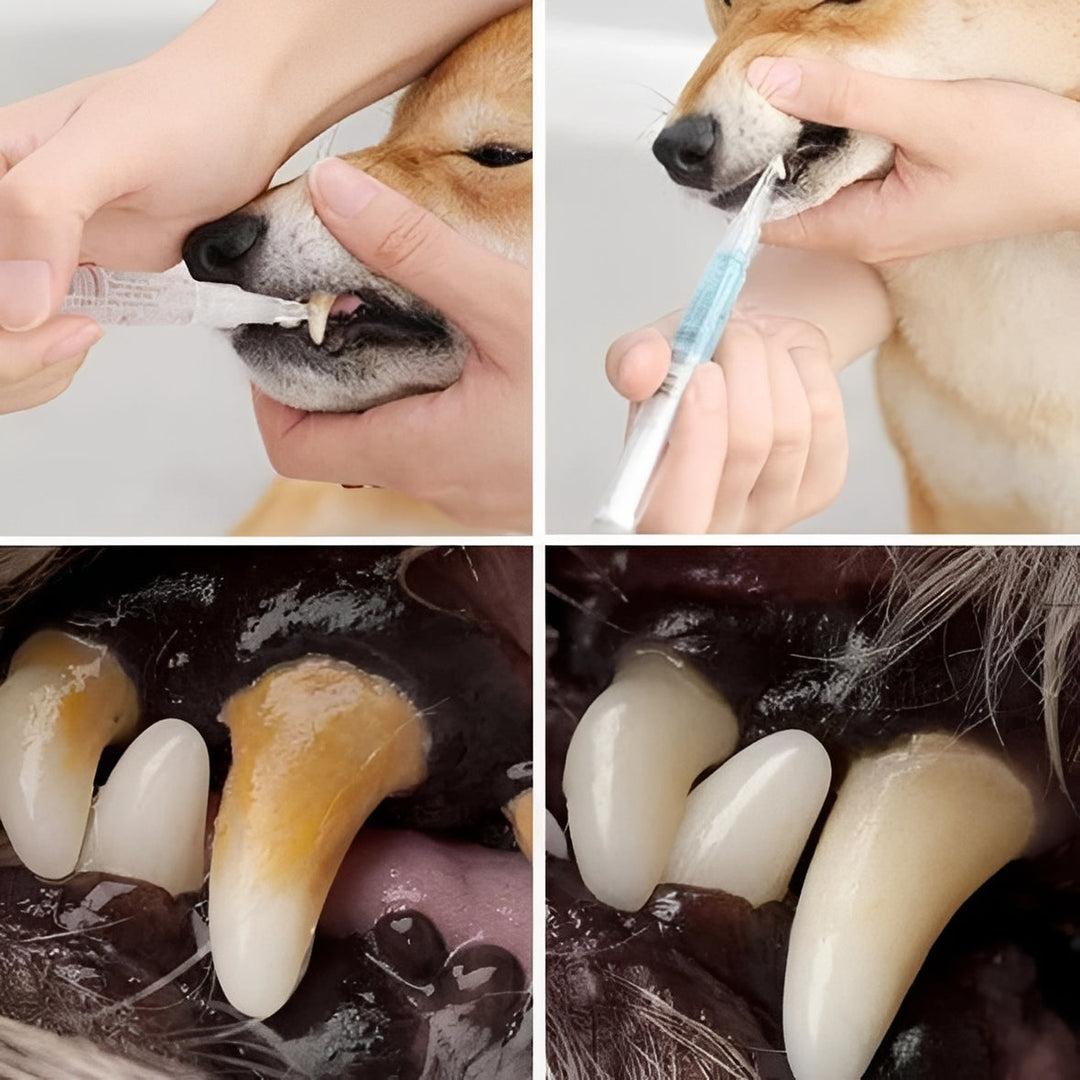 Advanced Pets Teeth Health and Deep Cleaning Repair Formula