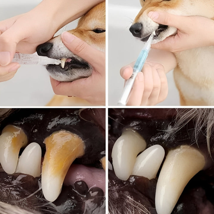 Advanced Pets Teeth Health and Deep Cleaning Repair Formula