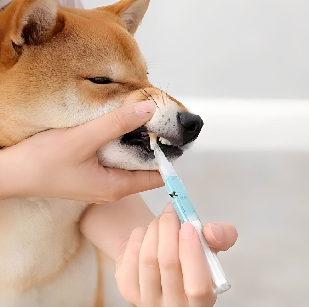 Advanced Pets Teeth Health and Deep Cleaning Repair Formula