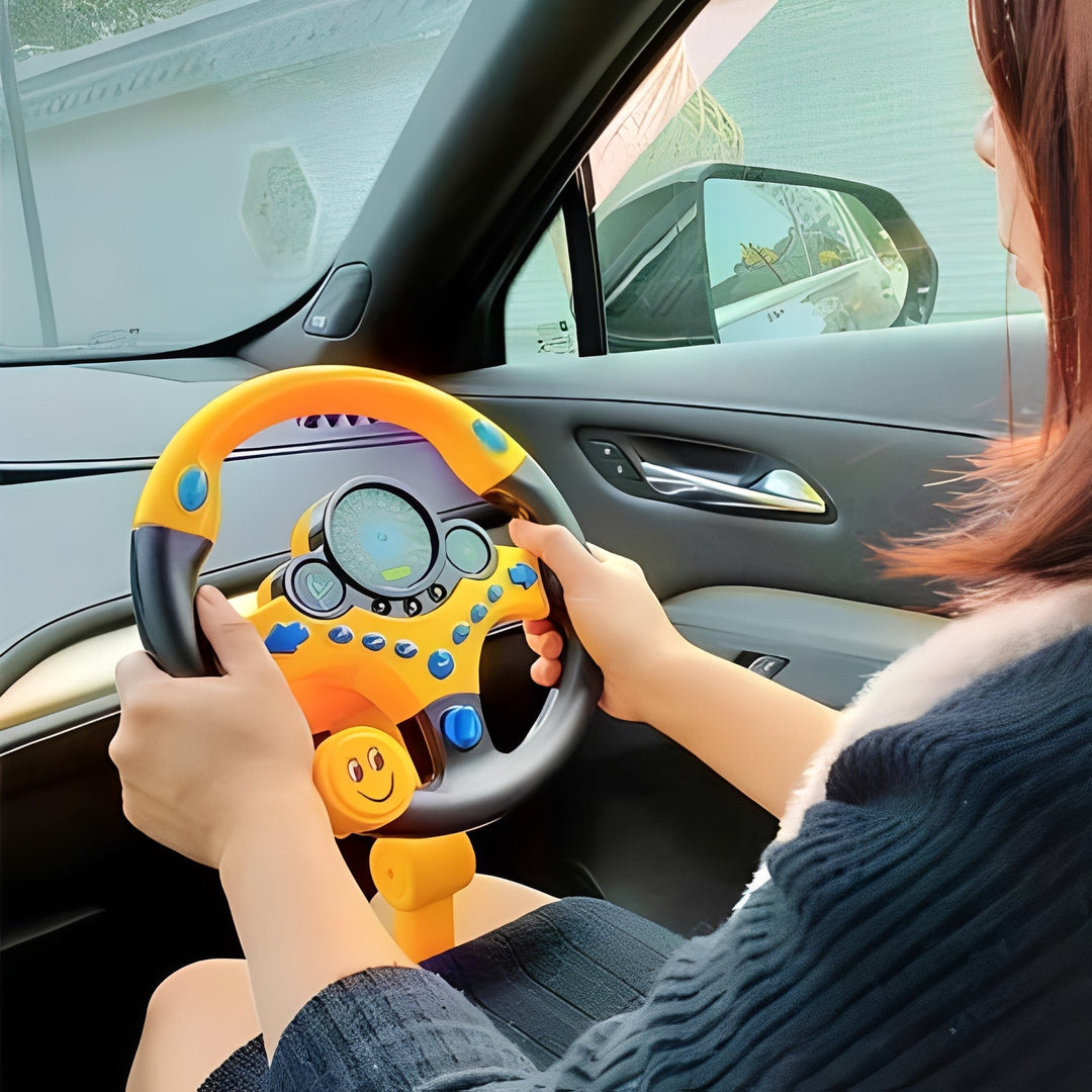 Interactive Educational Driving Simulator and Steering Toy