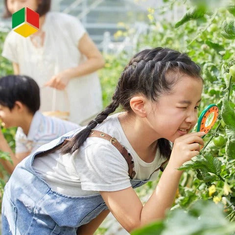 Insect Exploration Kit for Kids