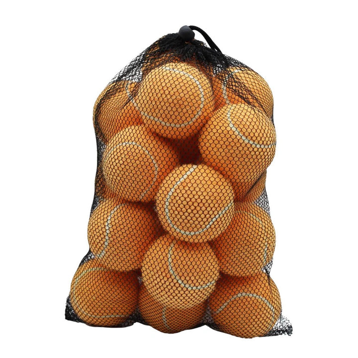 Standard Size Practice Tennis Balls, Set of 20 with Mesh Storage Bag