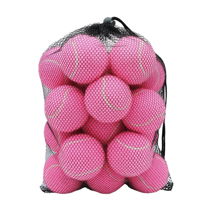 Standard Size Practice Tennis Balls, Set of 20 with Mesh Storage Bag
