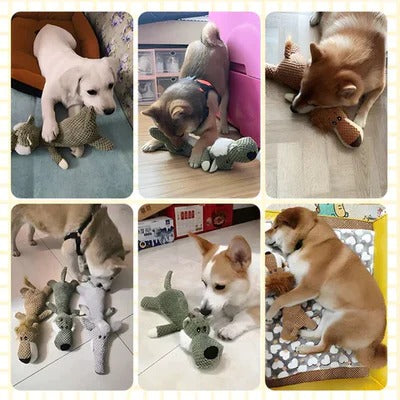 Endurance Beast Buddy and Toughened Plush Toy