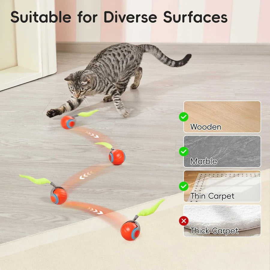 Interactive Cat Toys with Tail Design, 2 Pack Set for Indoor Cats